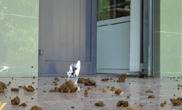Kazakh journalist throws manure at Almaty court