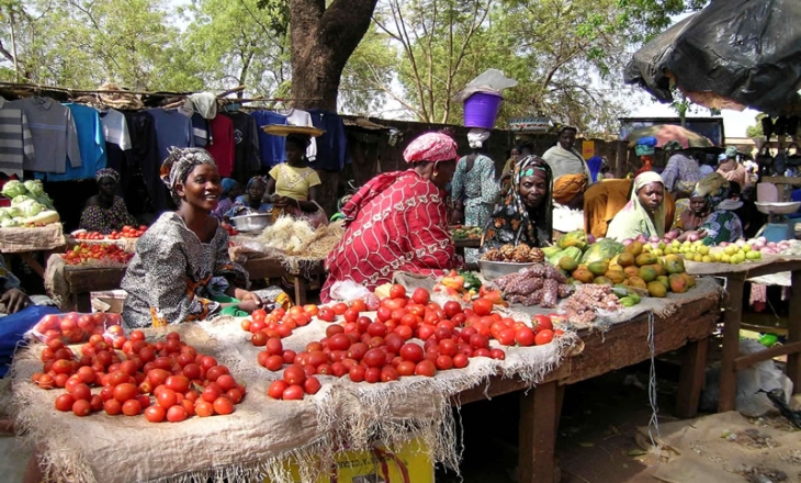 Education, language skills play big role in women and media in Africa