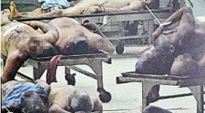 Venezuela newspaper faces probe over morgue photo of corpses