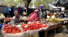 Education, language skills play big role in women and media in Africa